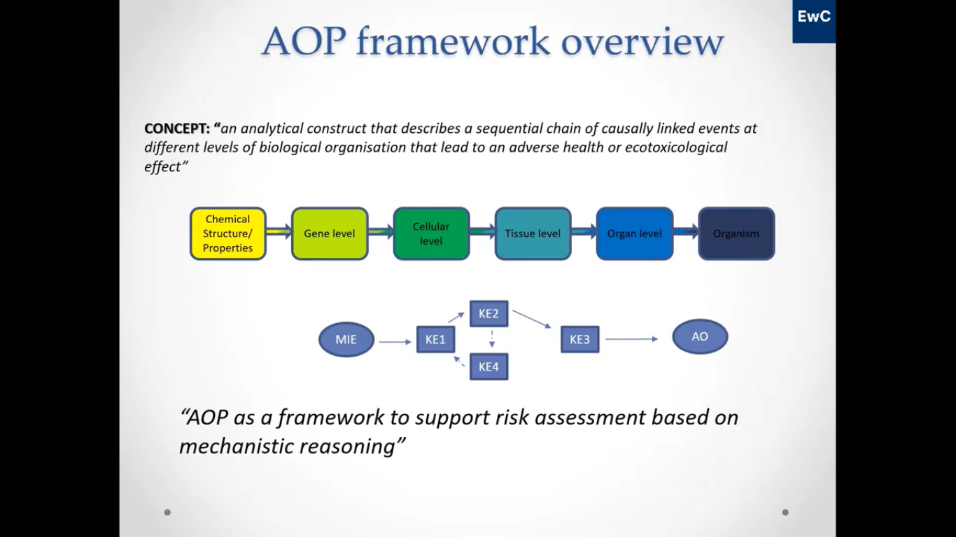 QSAR models and Read Across strategies | OpenTox