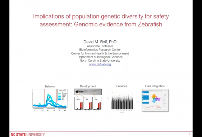 Implications of Population Genetic Diversity For Safety Assessment
