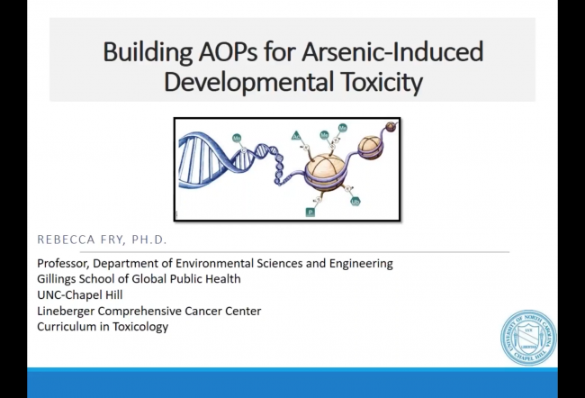 Building AOPs for Arsenic-induced Developmental Outcomes